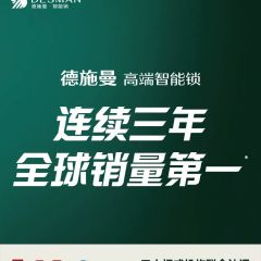 德施曼智能门锁人脸识别猫眼大屏密码指纹锁Q5FPro（新性能版）